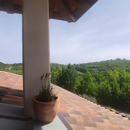 Apartma Lavanda Kojsko