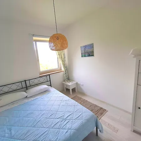Apartma Lavanda * Kojsko